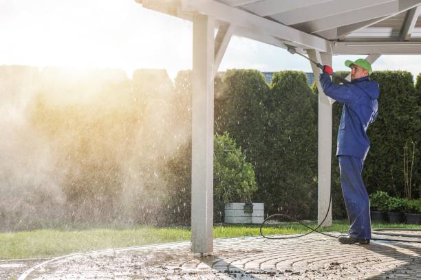 Best Gutter Cleaning  in Ely, MN