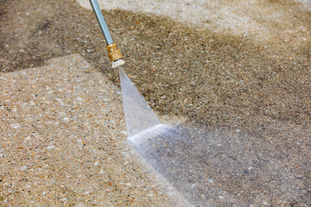 Best Gutter Cleaning  in Ely, MN