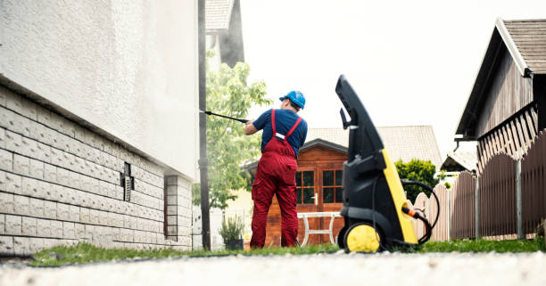 Best Sidewalk and Walkway Cleaning  in Ely, MN